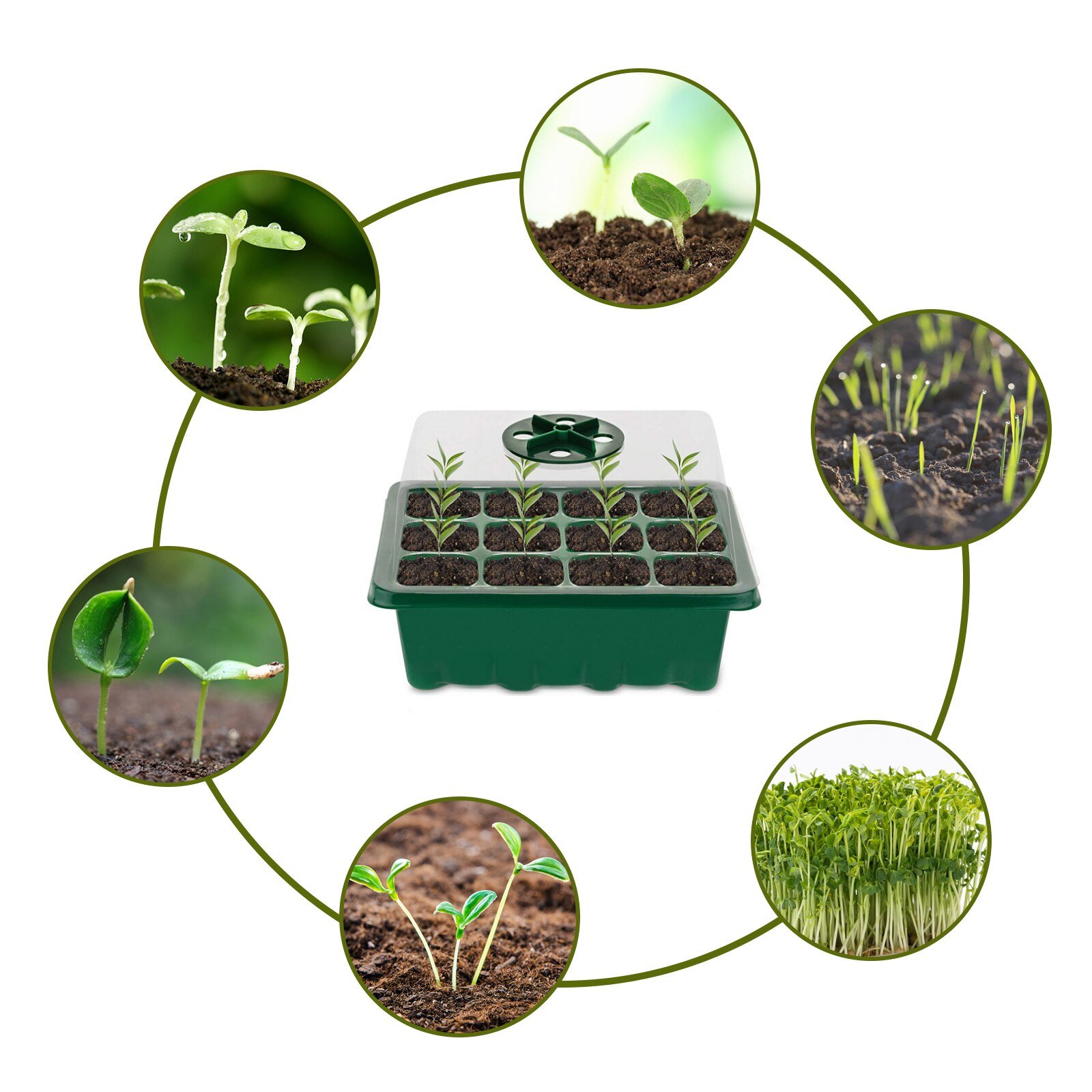 Plastic Seedling Growing Tray Kit Nursery Pots Planting Seed Tray Kit Cells Seed Tray Grow Box Seedling Starter Germination Kit