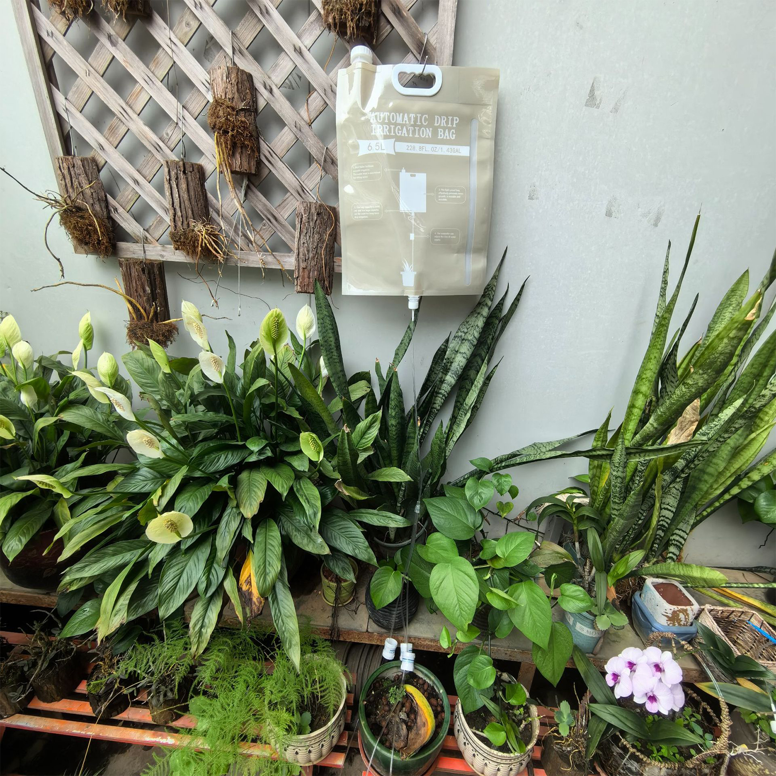 6.5l Plant Druppelirrigatiezak Automatische Gieter Druppelaar Plant Bewatering Kit Voor Potplant Water Verstelbare Regelklep
