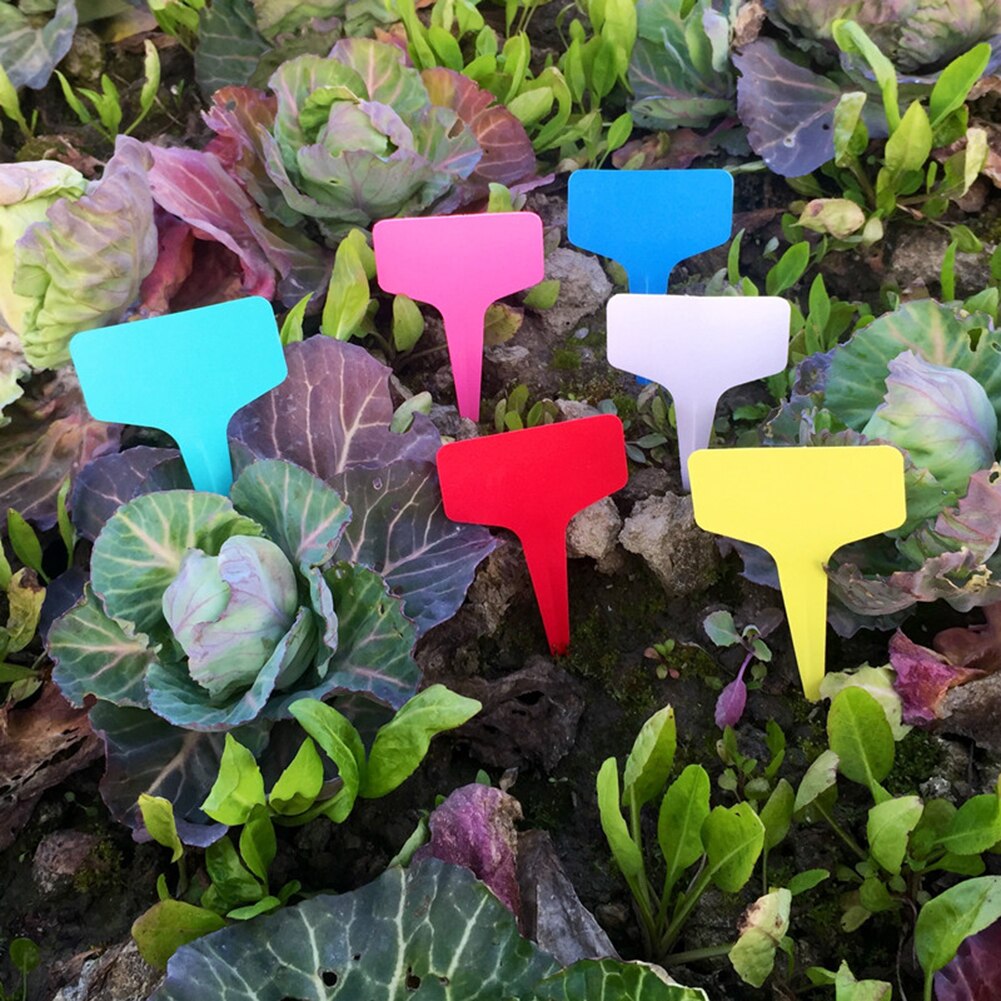 200 Uds. Etiquetas de plantas de plástico tipo T rotuladores jardín planta flor etiqueta jardín adornos jardinería etiqueta