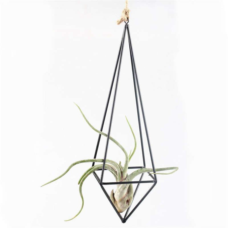 Moderna di Arte Rustica Stile Freestanding ferro Appeso Tillandsia Aria Pianta Rack Holder Nero 10.2 Pollici Altezza Quadrilatero Pyrami