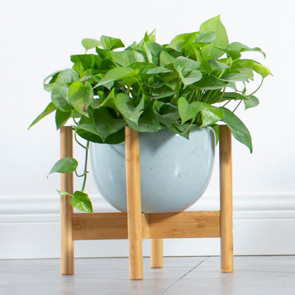 Soporte para plantas Bonsai, soporte para plantas de madera de mediados de siglo, soporte moderno para flores en maceta, estante de mesa para oficina, decoración moderna para el hogar