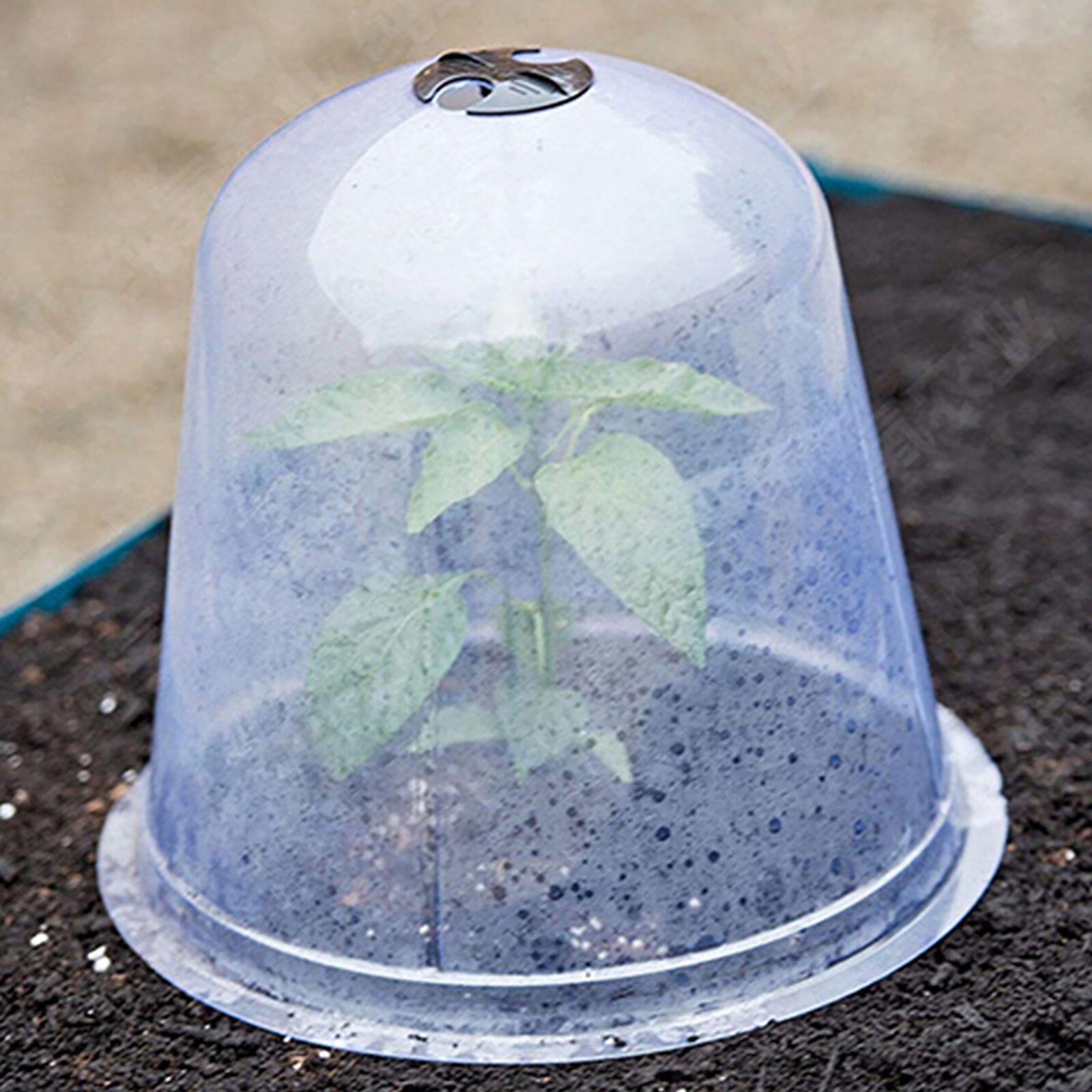 Garden Cloche Dome Plant Bell Protector Cover Plastic For Plant Protection Greenhouse Plant Growth Protective Cover