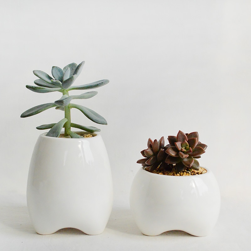Set Van 2 Tand Vorm Bloempotten Witte Keramische Planter Tanden Mini Desktop Succulente Planter Potten (Zonder Planten)