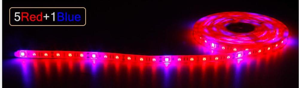 Pasteable Phyto Led Light strip Hydroponic Growth Light Led Grow Full Spectrum12V Red Bule Lamp Plant Flower Seedling Fitolamp: 5 red and 1 bule / 4M 240leds / Waterproof IP65