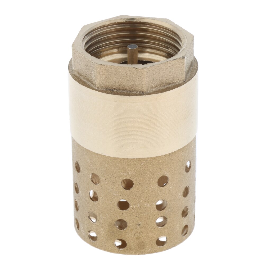 Brass In-Line Check Valve with Strainer 1 inch, Easy to Install