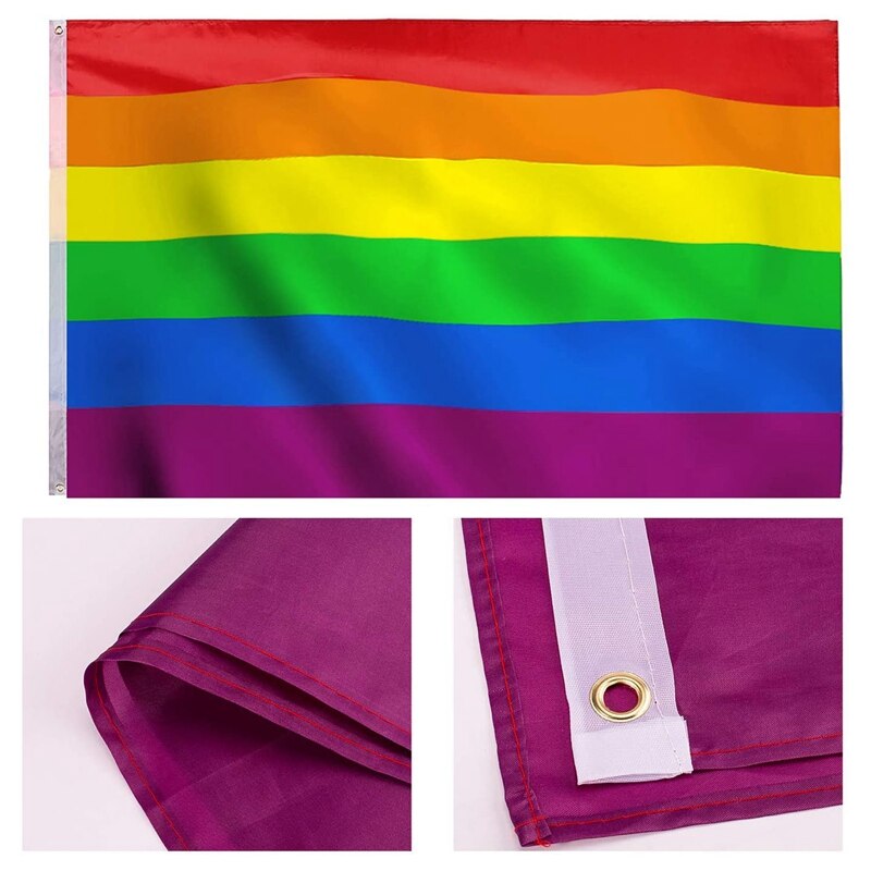 12 Pack Gay Pride Regenboog Vlag Set Grote Vlag Banners Bunting Vlaggen En Kleine Hand Vlag Met Sticks Voor Party parade