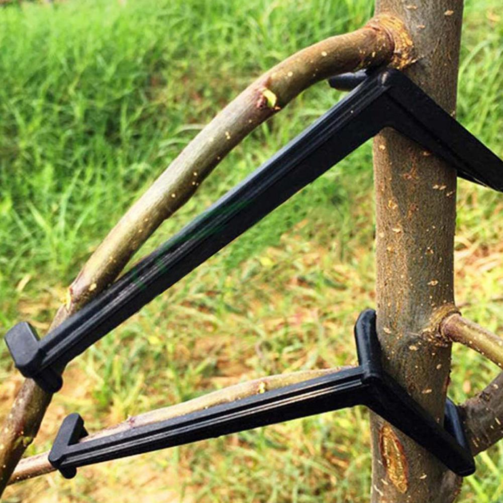 Fruit Branch Spreader Tree Branch Support Frame Support The Growth Of Branches Branch Support For Garden Gandening Tool