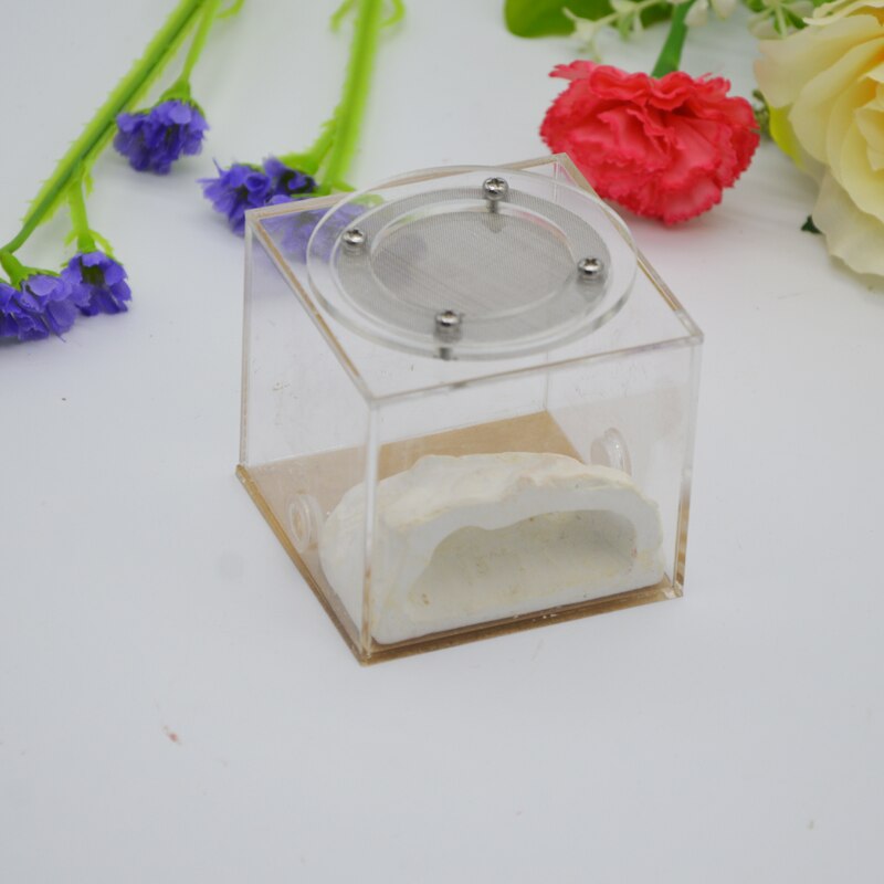 Imitation Ecological Ant Farm DIY Plaster Rockery Pet Ant Castle Landscaping Workshop Home Ants Farm House