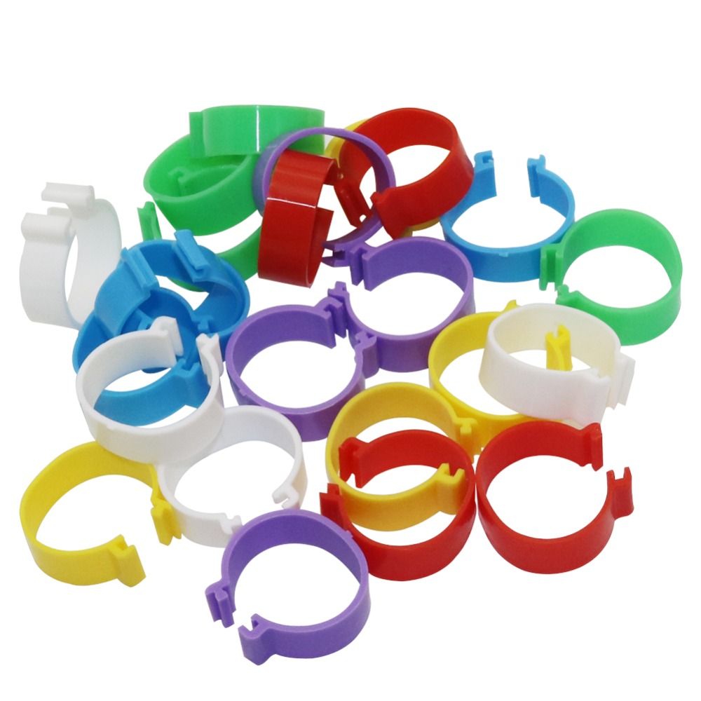 25Mm Pluimvee Voet Ring Kip Eend Gans Vogels Voeden Levert 6 Kleuren Gesp Type Clip Ringen Boerderij Apparatuur 30 stuks