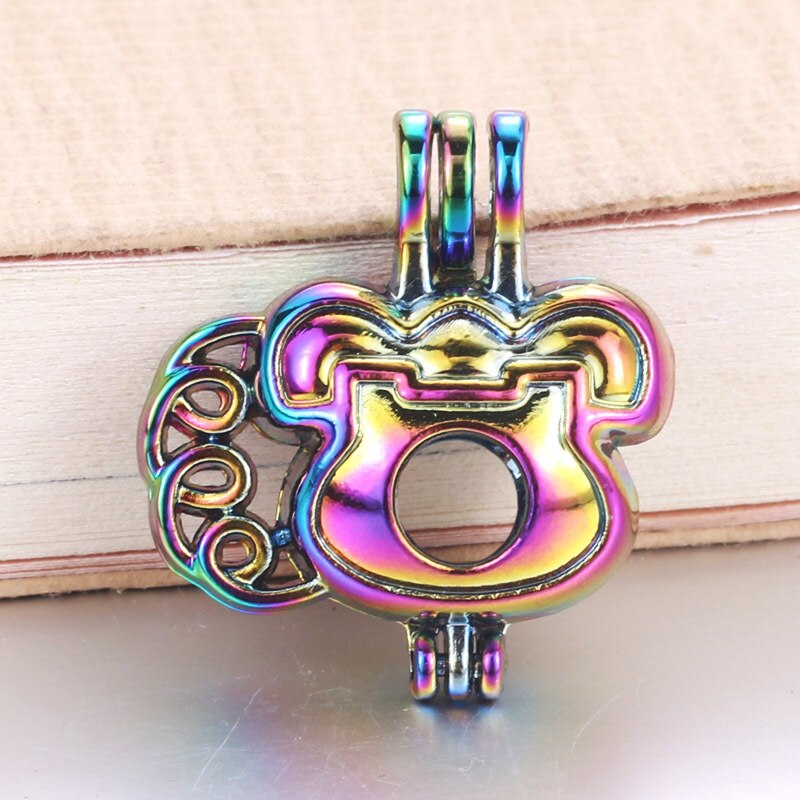 6pcs/lot 16 styles Rainbow Color Pearl Cage Bead Cage Essential Oil Diffuser Locket Pendant DIY Jewelry Making for Oyster Pearl: 040310