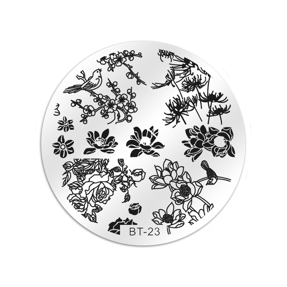 Biutee nail art dyreverden engelsk bogstav ord negle stemple plader rektangel nail art skabelon billede stamping plate: Værktøj-bb -1004-bt23