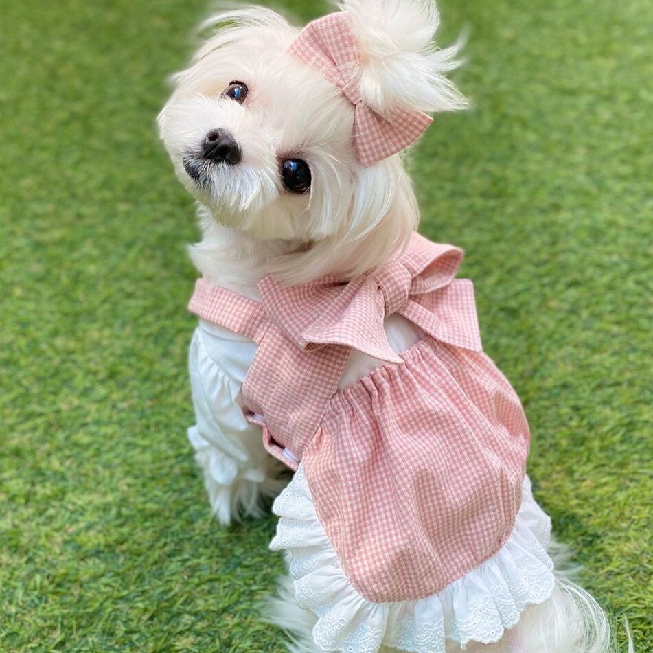 Jupe à carreaux rose pour animaux de compagnie, vêtements pour chiens et chats, Teddy Bichon, chiot