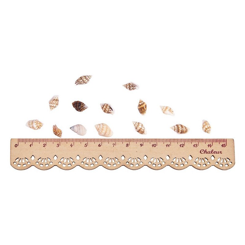 About 1300-1500 Tiny Sea Shell Ocean Beach Spiral Seashells Craft Charms 7-12mm for Candle Making,Home Decoration,Beach Theme Pa