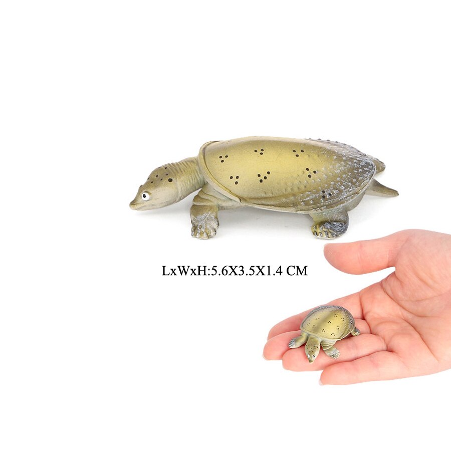 Realistische Plastic Zeeschildpad Levensechte Schildpadden Oceaan Dier Kleine Schildpad Beeldjes Voor Party Favor Decoratie Educatief Speelgoed: NO.20