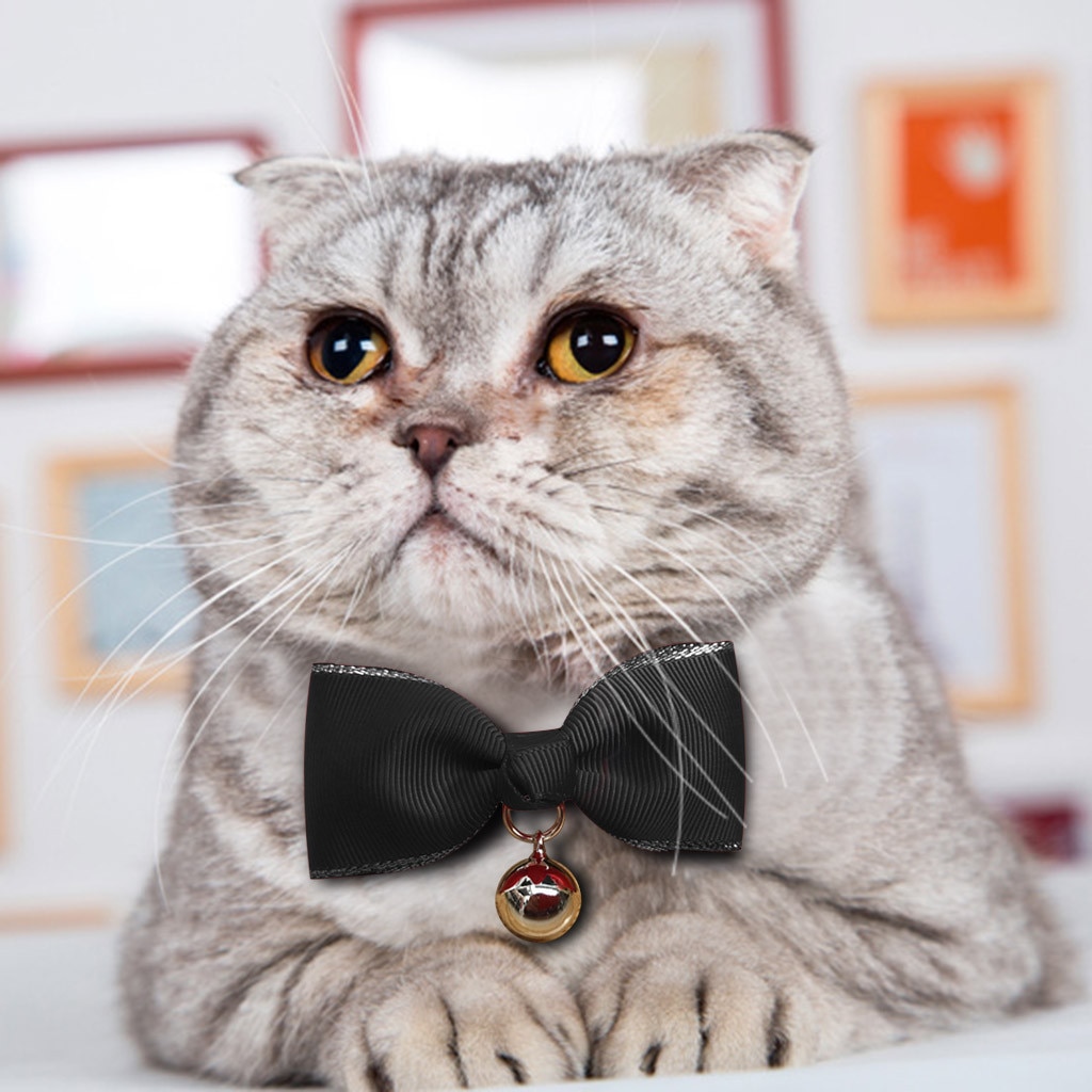 Klassisk farverig kæledyrshund kat sløjfe kæledyrssløjfe hundeslips dekoration krave kæledyrsartikler tilbehør /2.5