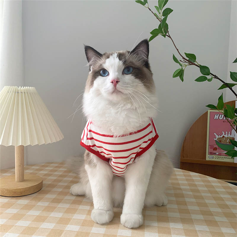 Spring Cat Clothes Pet Clothing for Small Cats Dogs Cat Costumes Soft Kitten Kitty Coat Jacket Puppy Clothes Outfit Mascotas