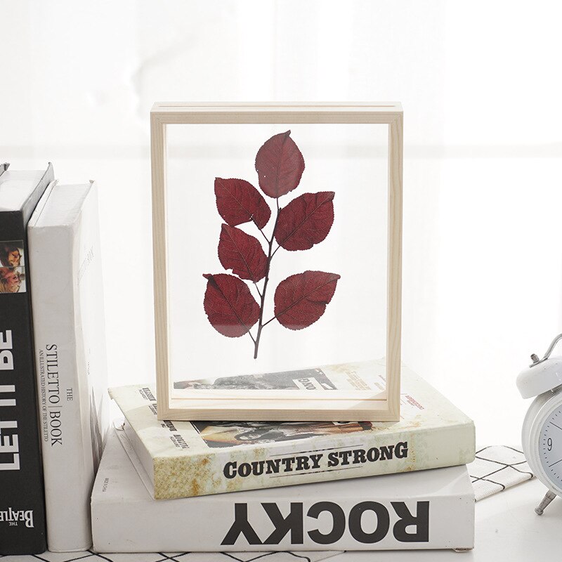 Wooden Photo Frame, Double Sided Acrylic Specimen Frame Set-up for Home Business Place