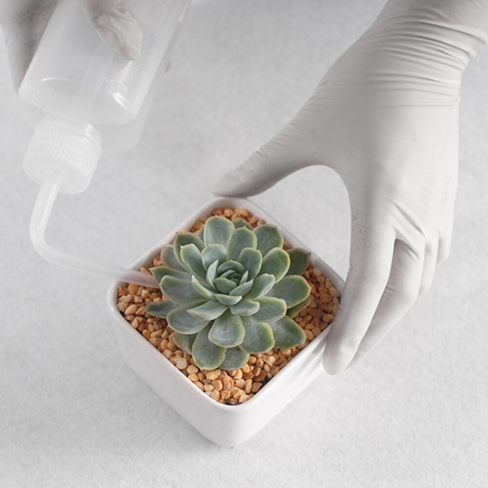 Planteur de jardin, Kit de plantation, arrosage, outil de bricolage, élagage, creuser, Succulent, facile à transporter, pièce