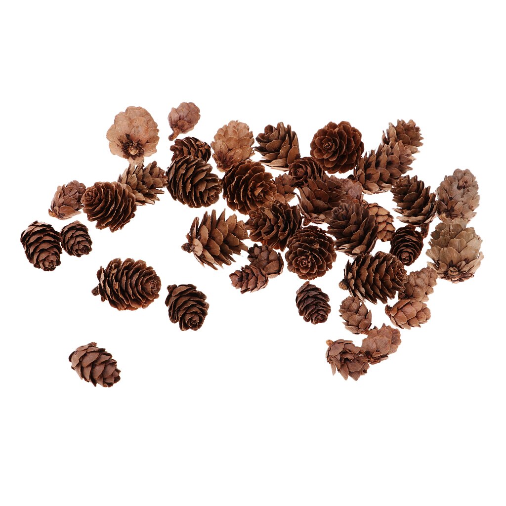 50 Pcs Decoratieve Dennenappels Ongeparfumeerde Voor Fall Winter Thuis