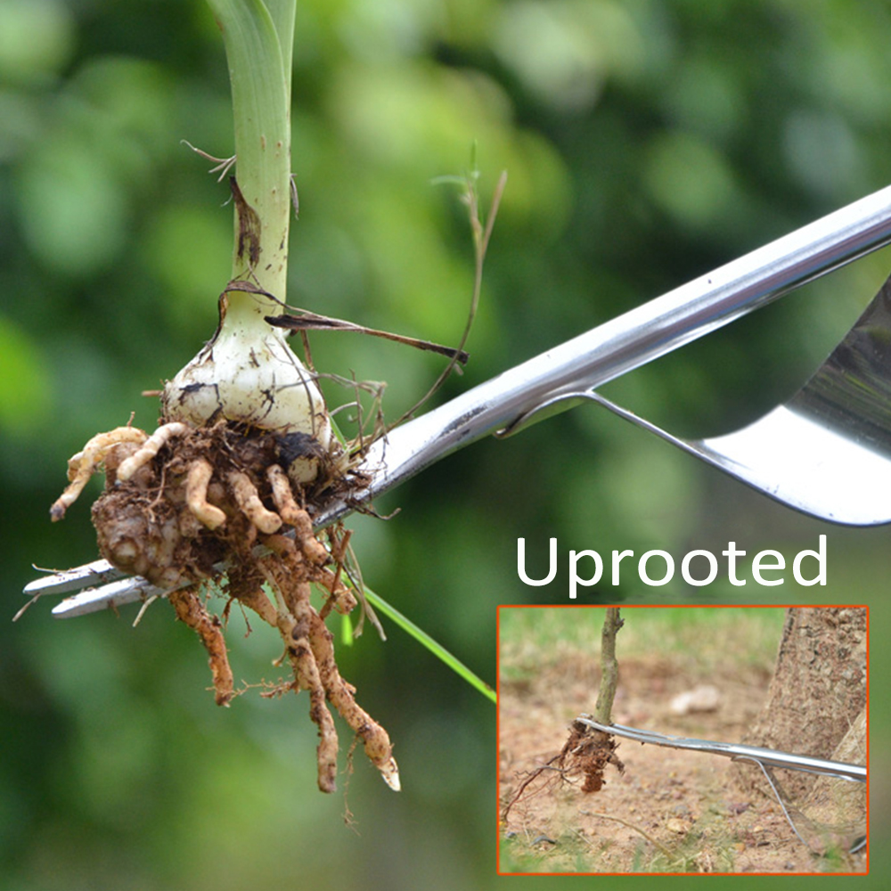 Outil De Désherbage Manuel - Extracteur De Racines Pour Pelouse Et Jardin | Métal Robuste 28/42/58 Cm | Léger Et Portable | Pour Enlever Les Mauvaises Herbes Facilement