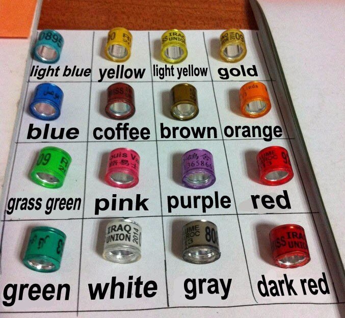 High let' pet 100pcs racing pigeon rings: Default Title