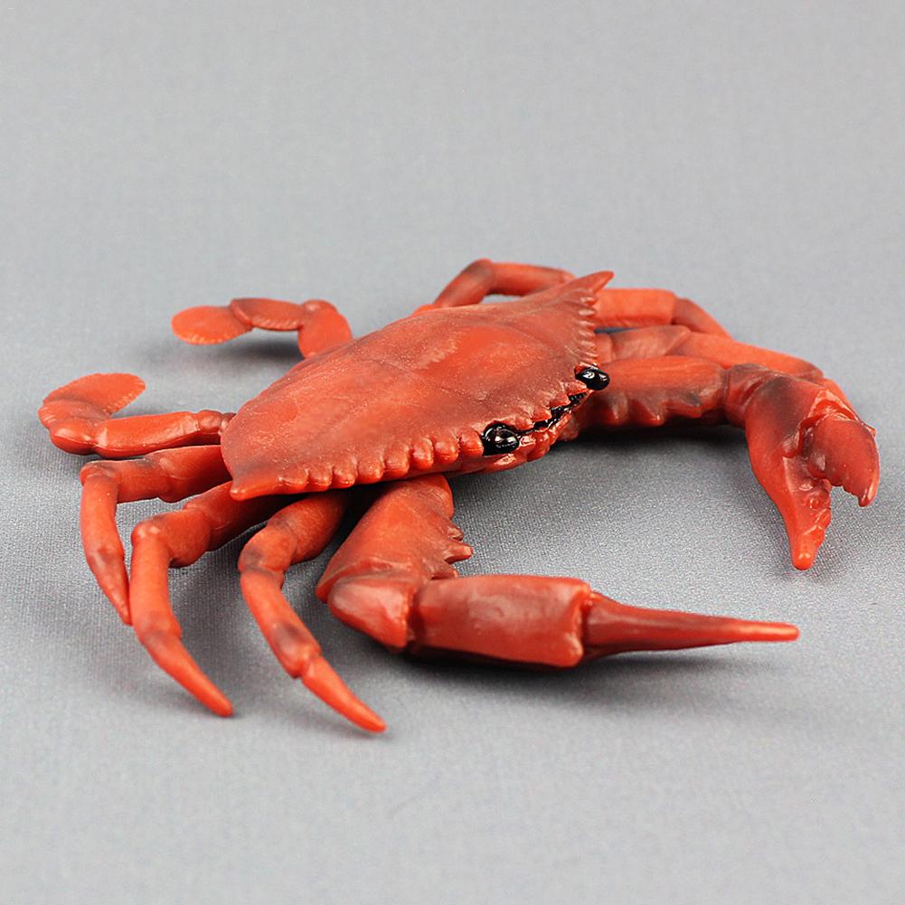 Figuur Home Simulatie Krab Effen Collectie Kind Leren Plastic Realistische Zee Diermodel Decoratie Educatief Speelgoed