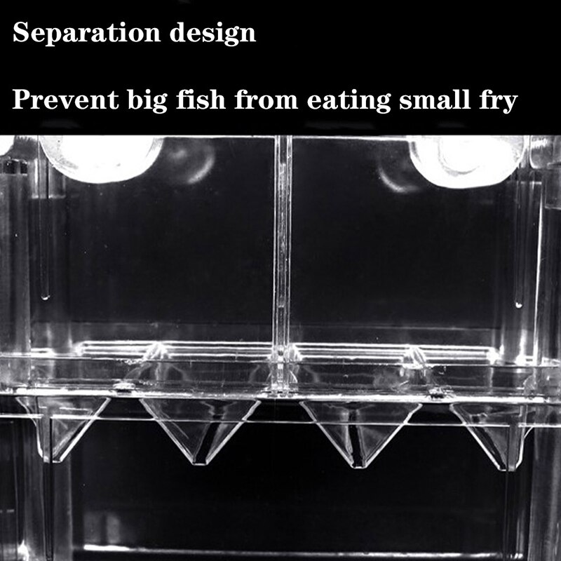 Aquarium auto-flottant pour poissons, boîte d'élevage de Guppy, couveuse en acrylique, Isolation de l'éclosion