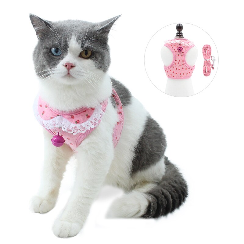 Cute Girl Dog Harness Dress And Lead Set – Fancy Summer Small Pet Cat Vest Clothes (XS/S/M)