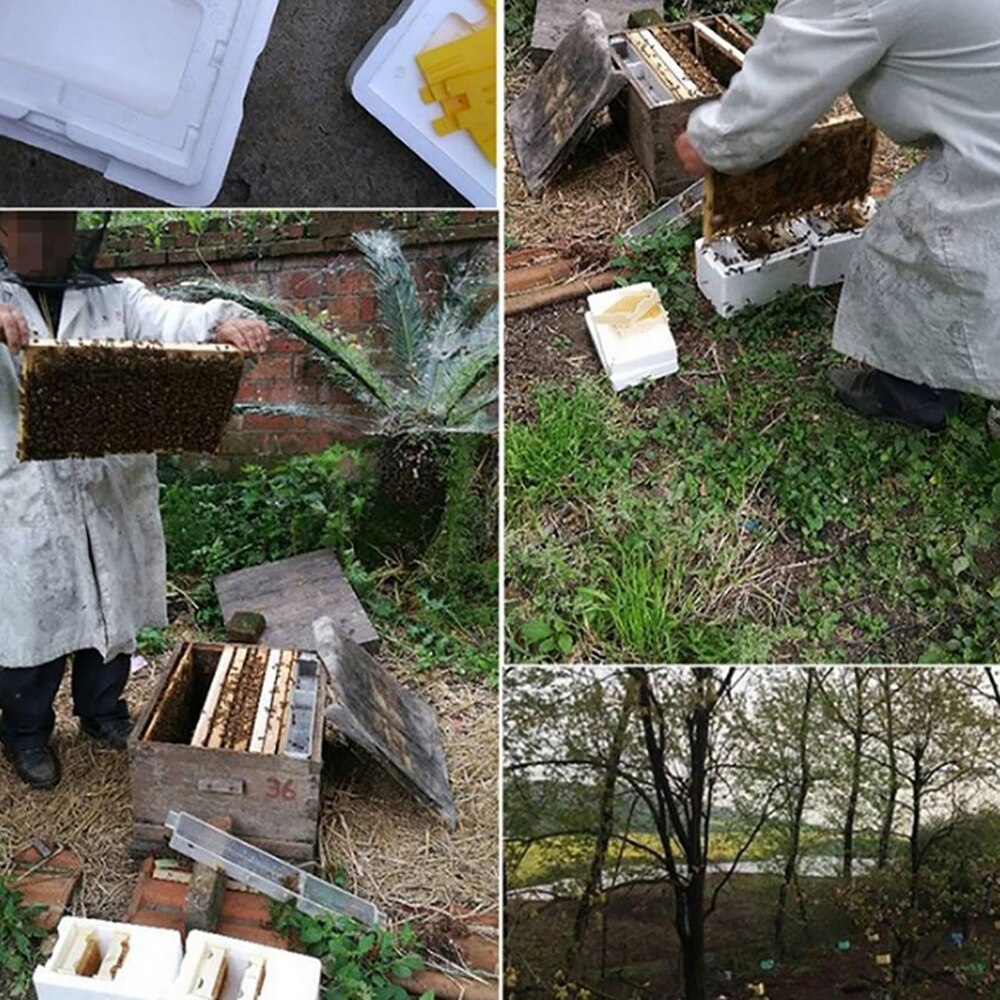 1pc skörda bikupa biodling king box eps pollineringslåda flöde bikupa biodlingsverktyg skörd bikupa hem kupa box