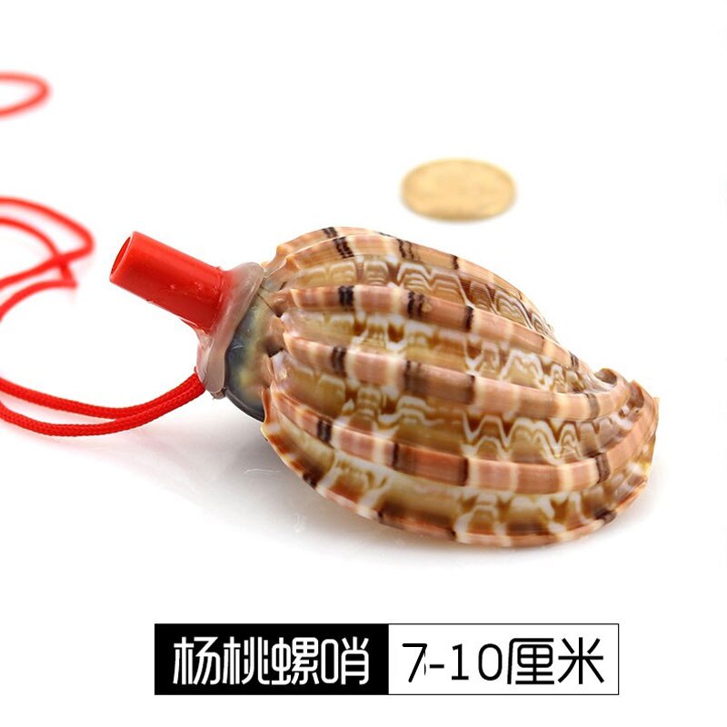 Sunchamo – sifflet de conque naturel, petite coquille de corne caractéristique, jouet artisanal, ornement Micro-paysage, décoration artisanale: 7-10 cm