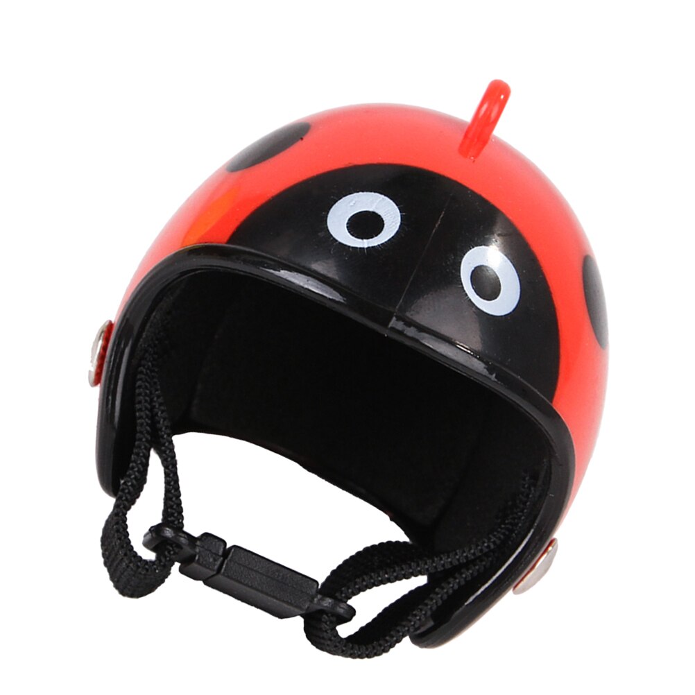 1pc casco per pollo PP accessori divertenti caschi protezione equipaggiamento protettivo per galline per uccelli pulcino per animali domestici: immagine 3