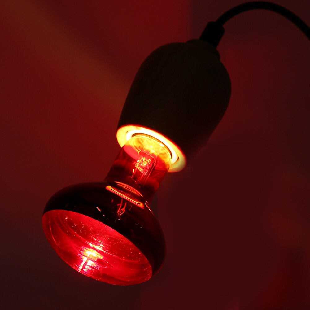 Reptile habitat lighting R80 Red Glass E27 100W Amphibia Animal Pet Reptile Lizard Tortoise Snakes Avoid Illness Heating