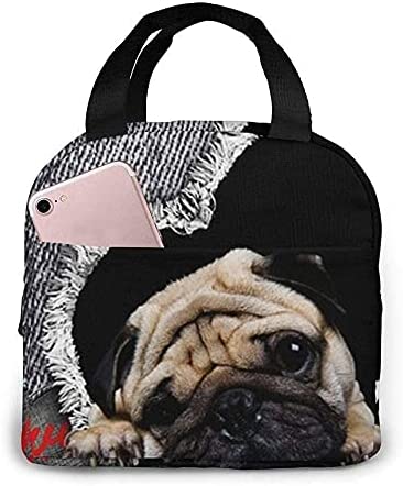 Lunch Bag Cute Pug Dog Lunch Box Insulated Bag Tote Bag For Men/Women Work Travel: GRAY