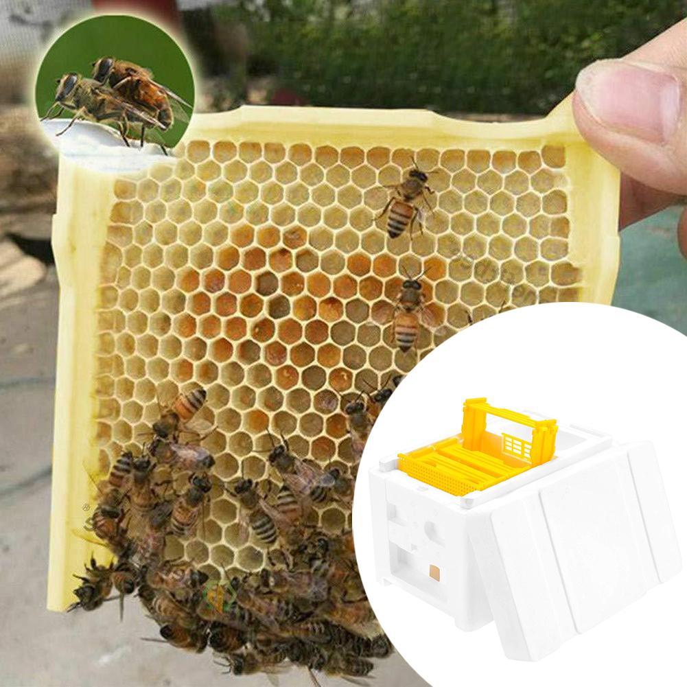 Caja de polinización King Box para apicultura, marcos de espuma, Kit de equipo de apicultura, caja de colmena de abejas para polinizador de jardín, apicultura