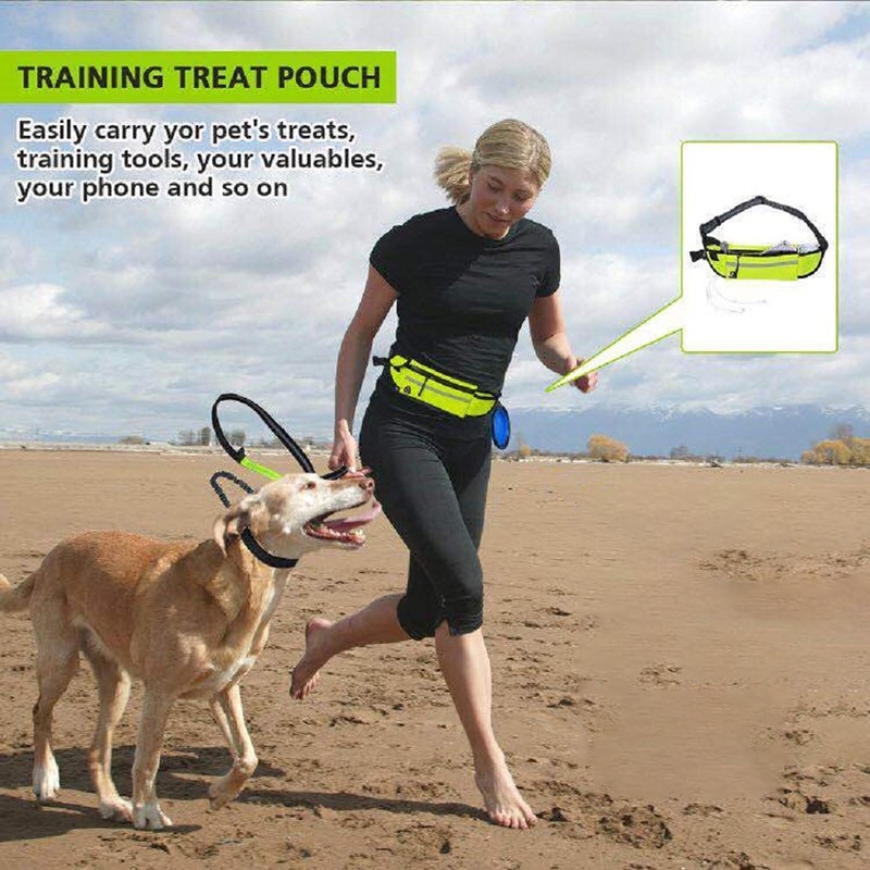 Benepaw holdbar håndfri bungee hundesnor med lomme reflekterende justerbar taljebælte kører kæledyrsnor til mellemstore hunde