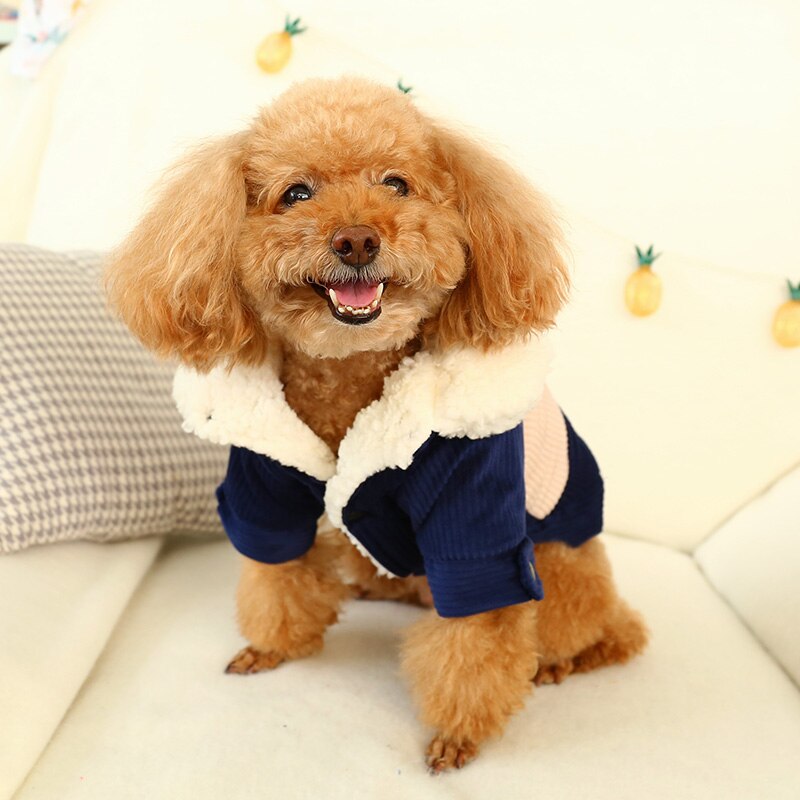 PETCIRCLE Huisdier Kleding Hond Kleren Teddy Bichon Hond Pommeren Herfst en Winter Dikker Warme Kleding