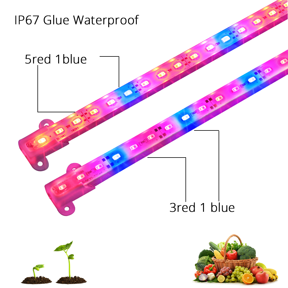 2 Teile/los LED Wachsen Licht Gesamte Spektrum 12V IP67 Wasserdichte 5630 LED Bar Licht für Aquarium Gardent Gewächshaus Anlage wachsenden Lampen