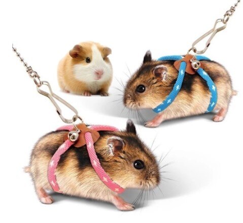 Arnés para hámster con cascabel, arnés ajustable para mascotas, ratas, ratones y hámsters