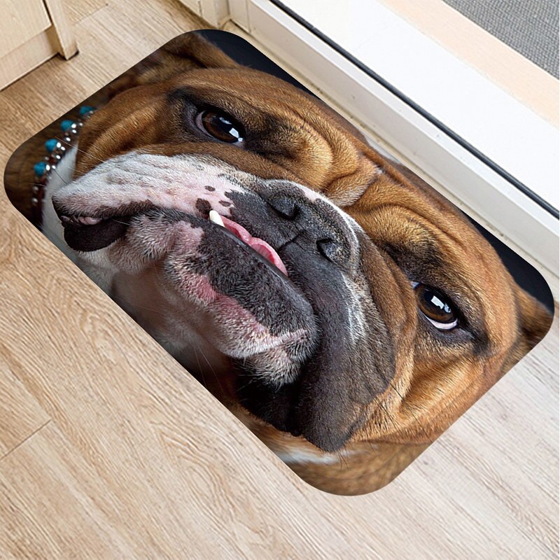 Alfombra antideslizante con de Tigre, perro, búho, Gato y mascotas, felpudo para puerta, cocina interior, sala de estar, decoración del hogar, 48183: F