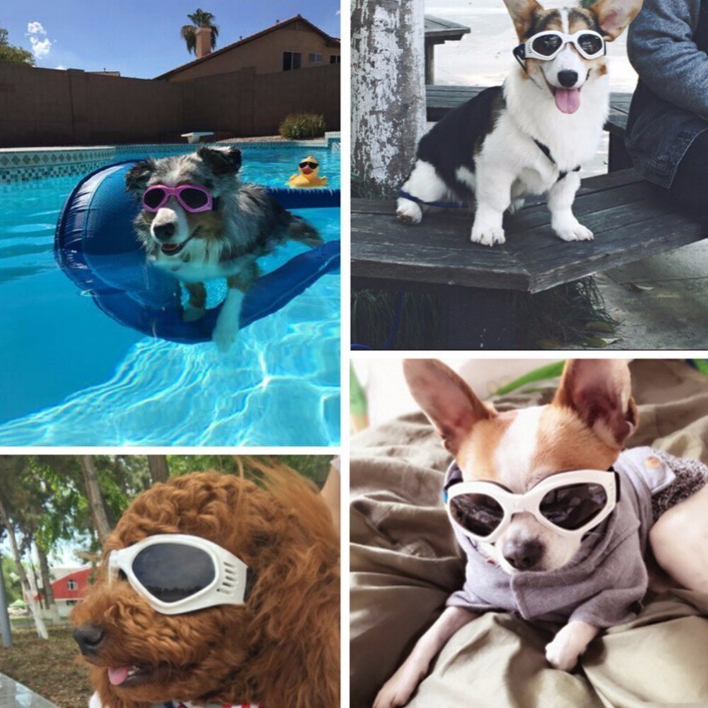 6 farben Nette Haustier Hund Sonnenbrille Sonnenbrille Haustier Katze Brille Auge Tragen Welpen Augenschutz Hundesalon Zubehör Pet dekoration