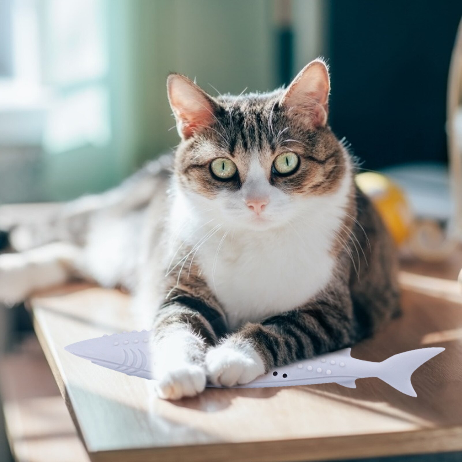 Silikon mynte fisk katt leke kjæledyr kattemynte myke rene tenner tannbørste tygge katter leker jeksel pinne tenner rengjøringe kattunge kjæledyr produkter