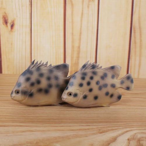 Peces artificiales de imitación para niños, 36 tipos, accesorios educativos para edades tempranas, carpa roja falsa, crisol, alimento para peces: Y020-3 10x6cm