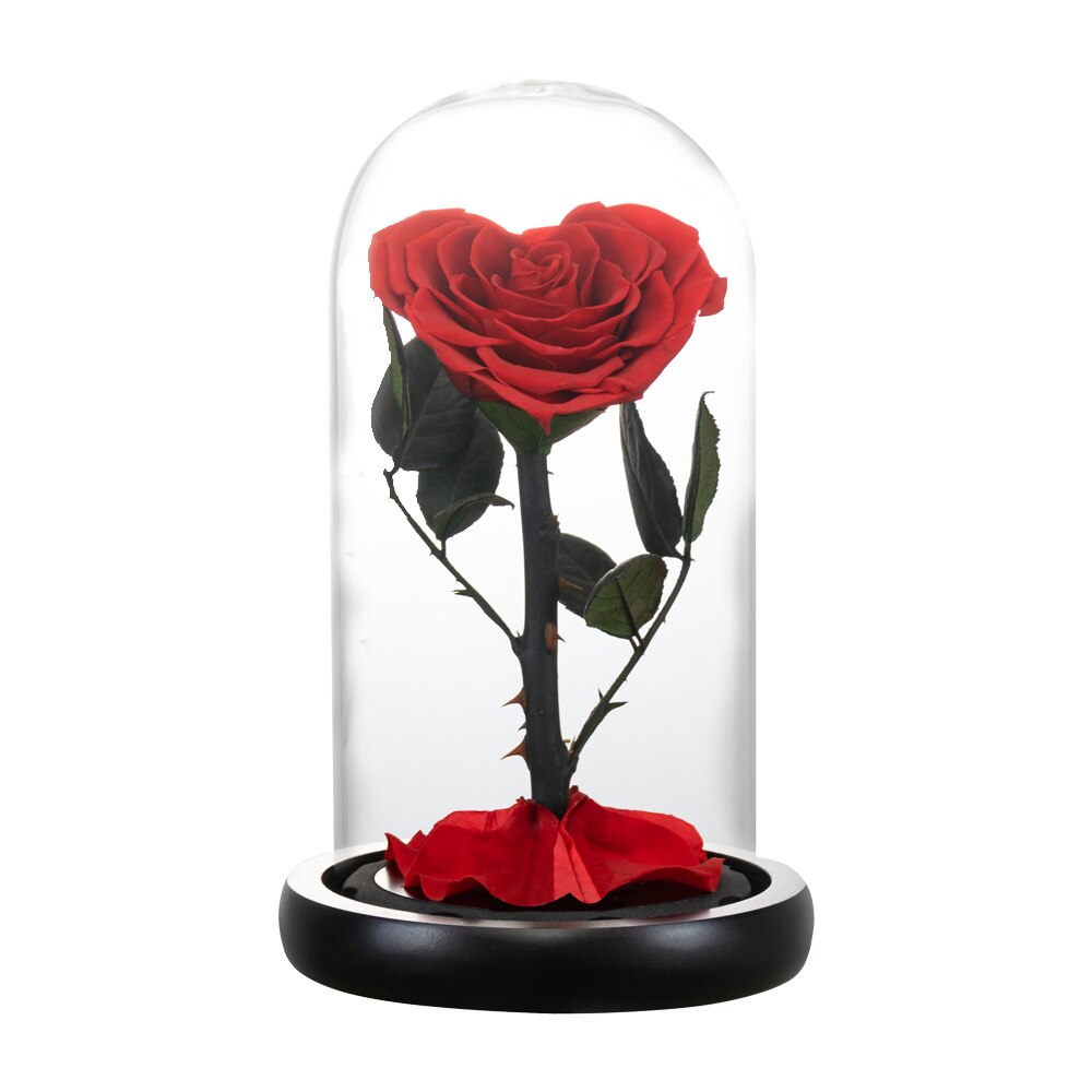 AINYROSE Heart Shaped Preserved Rose Beauty and The Beast Eternal Rose Wedding Artificial Flowers Valentine Christmas: Red Rose Dome