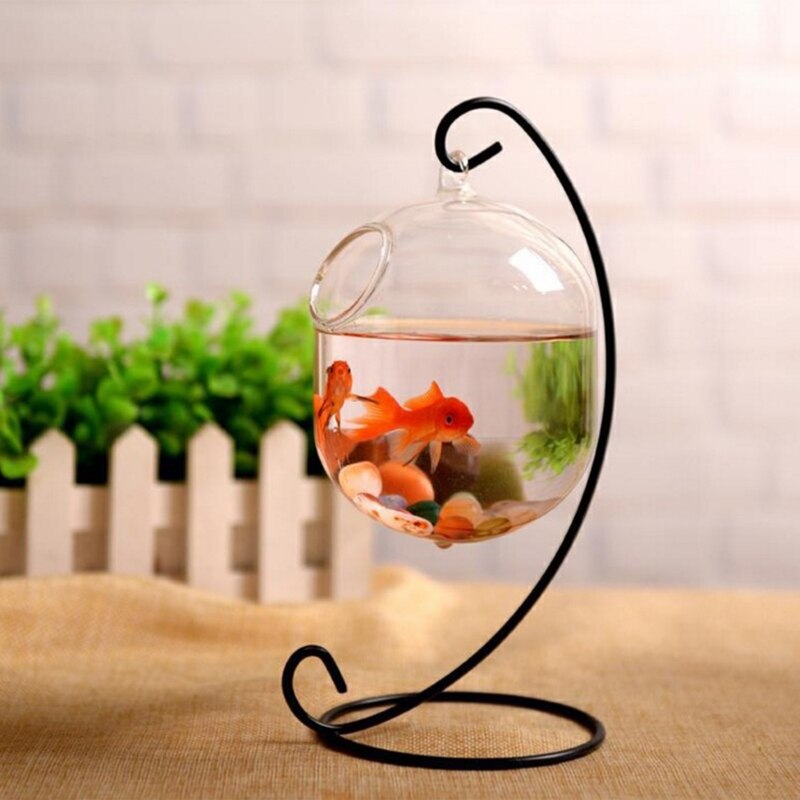 Suspended Transparent Hanging Glass Fish Tank Infusion Bottle Aquarium Flower Pl