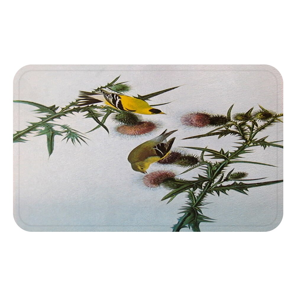 Aigle oiseaux Cool tapis tapis de bain décoratif anti-dérapant tapis chambre voiture sol Bar tapis porte décor à la maison: WHITE / 500mmx800mm