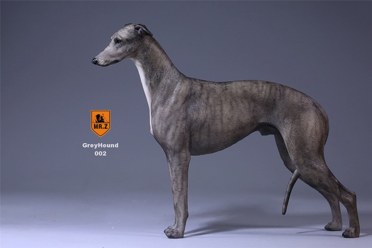 Mr.Z 1:6 Scale Greyhound Whippet Dog Pet Healing Figure Animal Model Toy Collector Desktop Decoration Adult