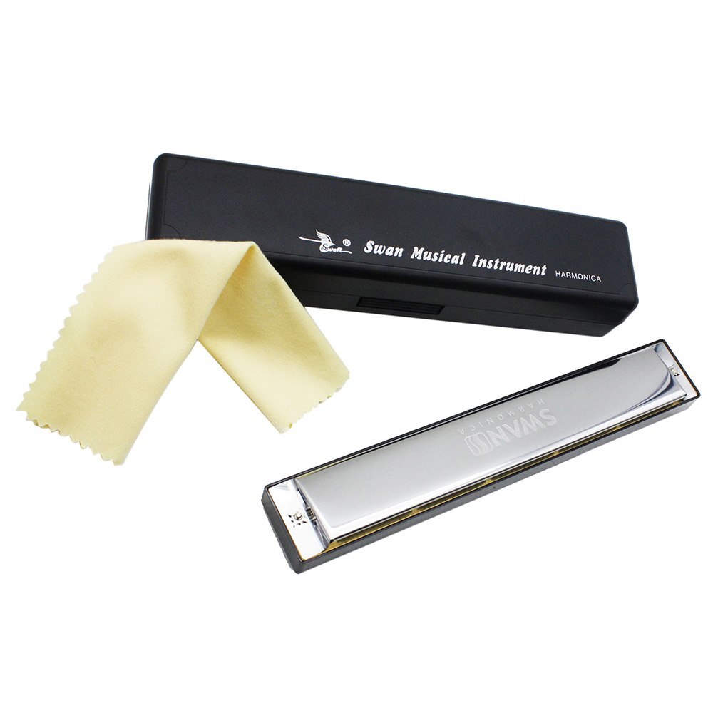 Tremolo Harmonica in D - 24 Double Holes - 48 Reeds - Copper Body