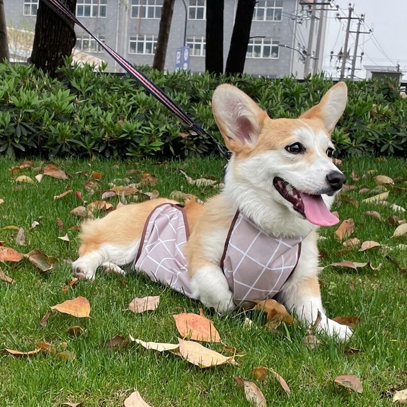 Hoopet Hond Corgi Dudou Omringen Waterdichte Kleding Kat Koud Beschermen Buik Huisdier Bescherming Buik Zomer Teddy T-shirt