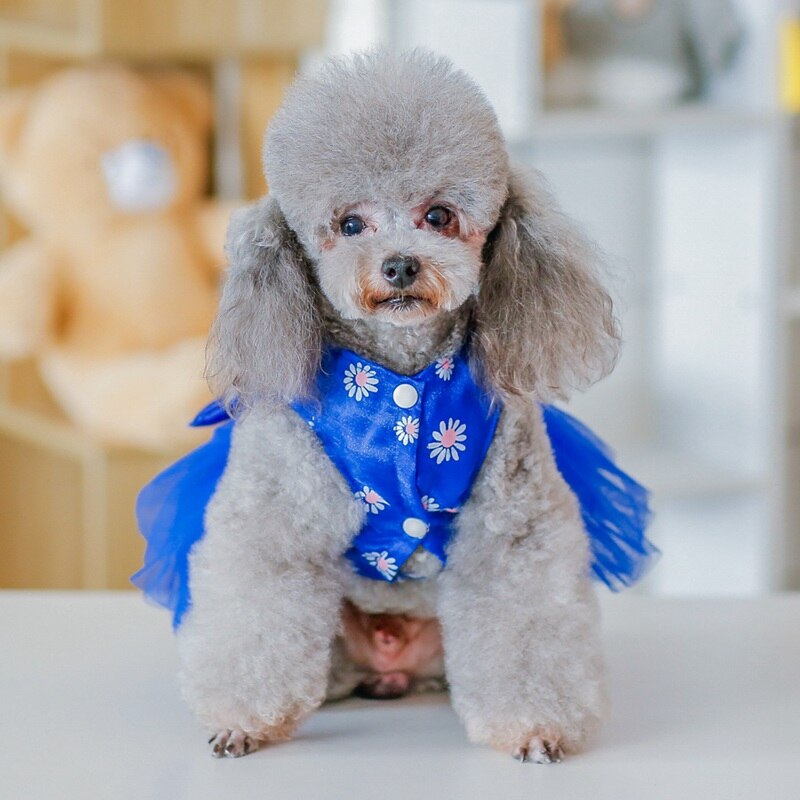 Hond Mesh Jurk Kleine Hond Bruiloft Zomer Tutu Jurk Boog Knoop Rok Voor Kleine En Middelgrote Honden Roupa Cachorro