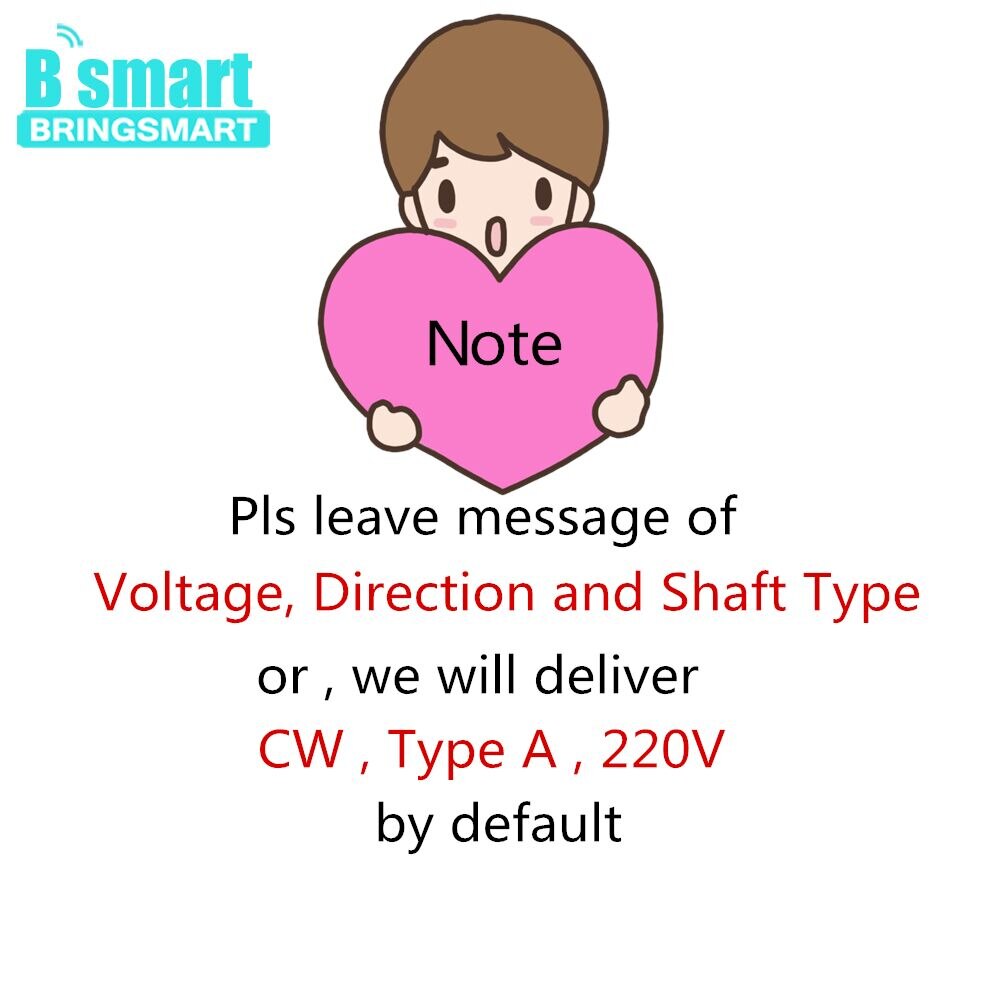 Bringsmart Micro Motor AC 220V 240V Synchronous Motor 5-6RPM Robust Torque 4W CW CCW TYC-50 Low Noise Reducer 50/60Hz